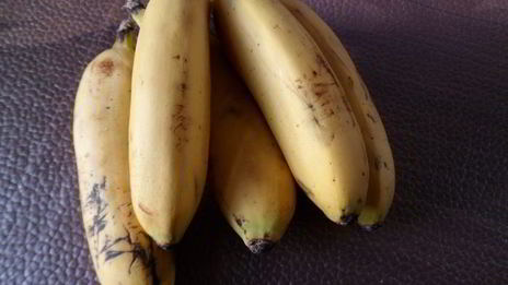 банановый сорбет в шоколаде