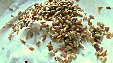 ореховое безе