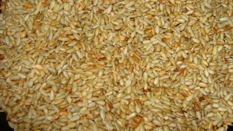 халва домашняя