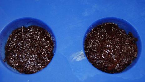 конфеты с абрикосом и розмарином