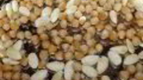 марципановые конфеты из нута, миндаля и фиников