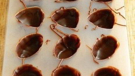 шоколадные конфеты с творожным сыром