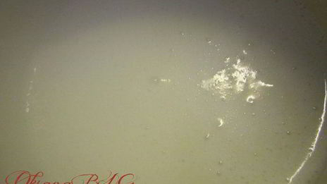 необыкновенно нежный бисквитный рулет с молочно-масляным кремом