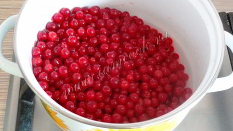 мармелад из красной смородины