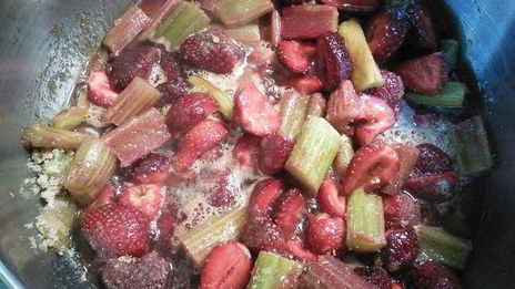 мармелад из ревеня и клубники с мятой