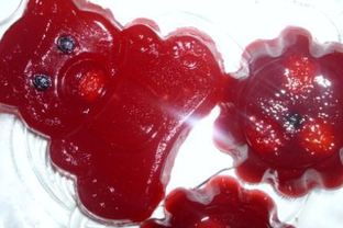 Мармелад малиновый