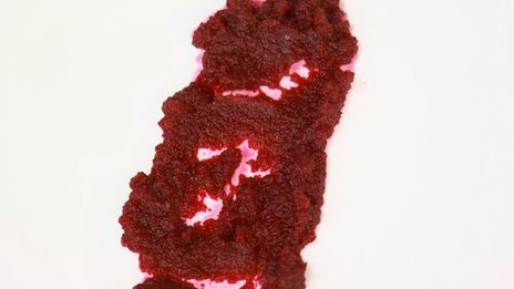 рулет из краба и телятины с вишневым мармеладом