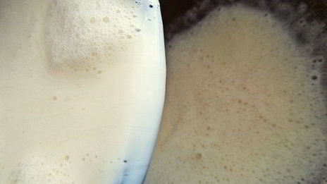 медовая панна котта