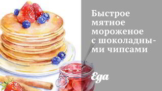 Быстрое мятное мороженое с шоколадными чипсами