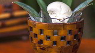 Кокосовое мороженое