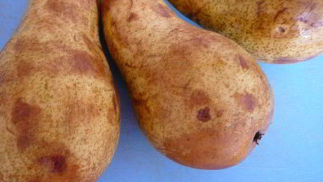 медовое мороженое карамельная груша