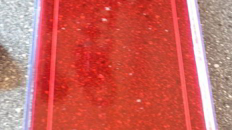 тирамису с кокосовым муссом, малиновым желе и черникой