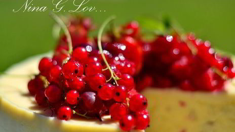 творожный торт-мусс с ягодами в белом шоколаде