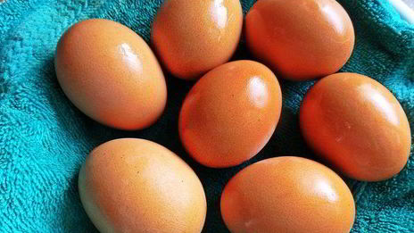 пасха монастырская