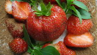 Фантазии на тему Тирамису