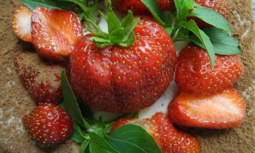 Рецепт фантазии на тему тирамису