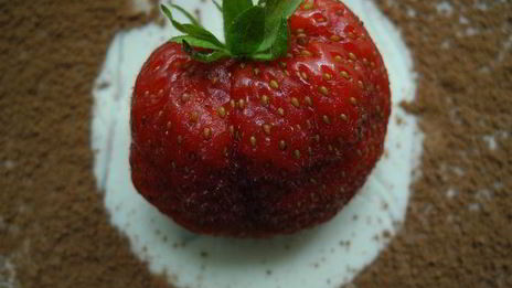 фантазии на тему тирамису