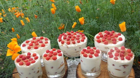 малиновый тирамису