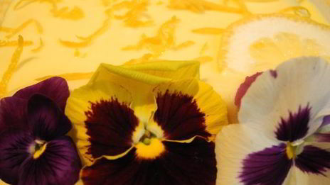 тирамису с лимончелло