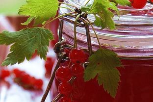 Желе из красной смородины