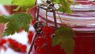 Желе из красной смородины