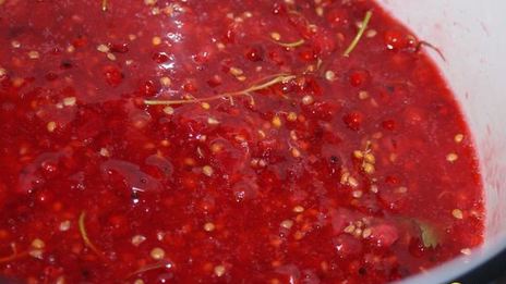 желе из красной смородины