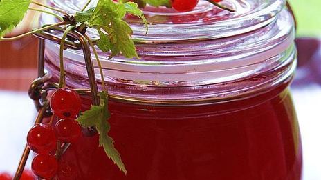 желе из красной смородины