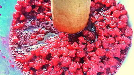 желе из лесной малины