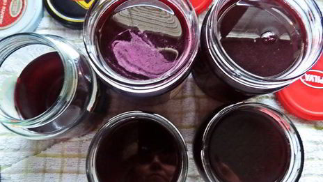 желе из лесной малины