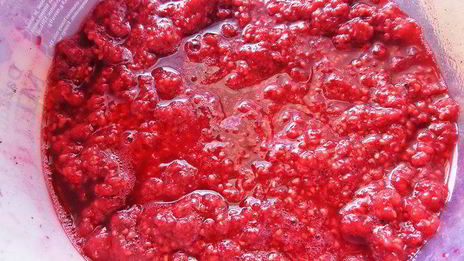 желе из лесной малины