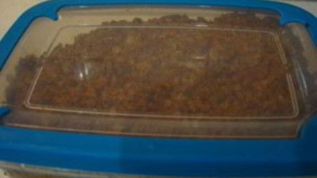 бастурма из индейки