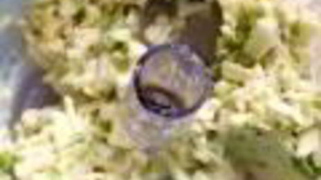 яблочные драники