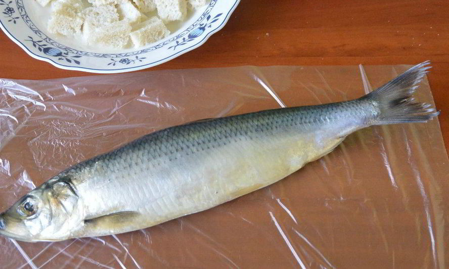 Рецепт форшмак из селедки