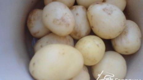 картофель отварной, сермяжный