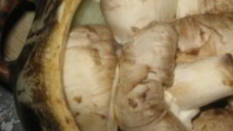 картофель с грибами в горшочках