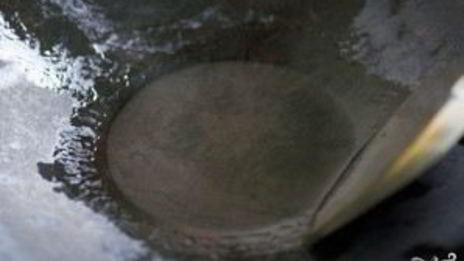 рис с чесноком