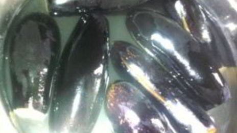 долма из баклажанов по-азербайджански