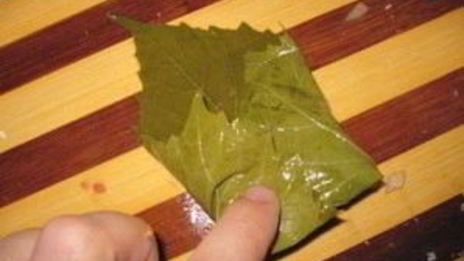 долма из маринованных виноградных листьев