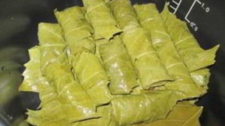 долма из маринованных виноградных листьев