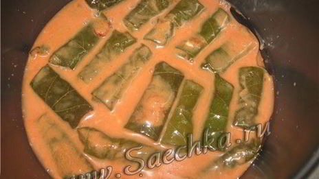 долма из виноградных листьев в мультиварке