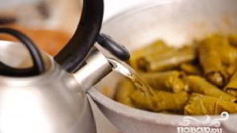 долма из виноградных листьев