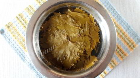 долма ленивая