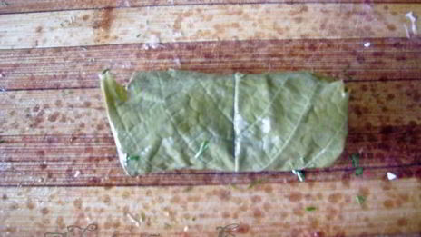 долма с курицей и кедровыми орешками