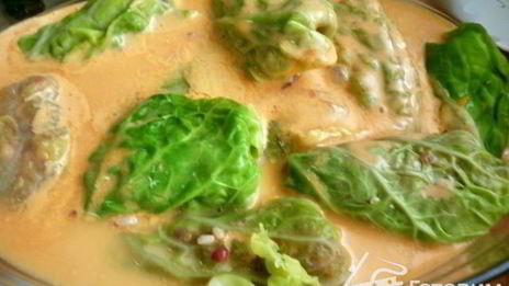 голубцы конспирация