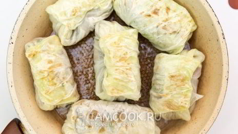 голубцы с перловкой и грибами