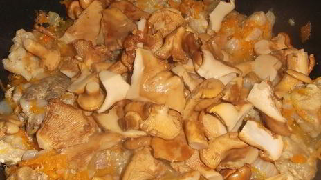 ленивые голубцы с лисичками и гузками индейки