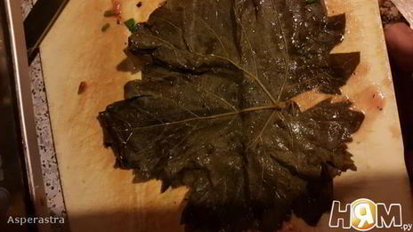 ливанская долма