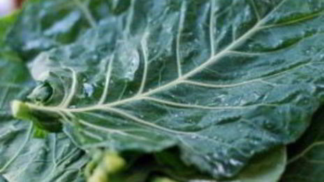 постные голубцы с пшеном