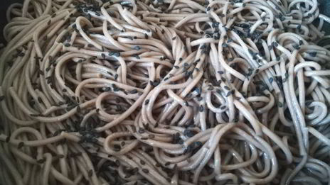 гречневая лапша со свежим огурцом