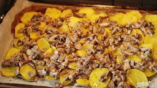 Грибы со свининой и картофелем в духовке